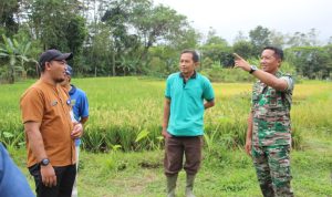 WhatsApp Image 2025-08-30 at 05.43.57